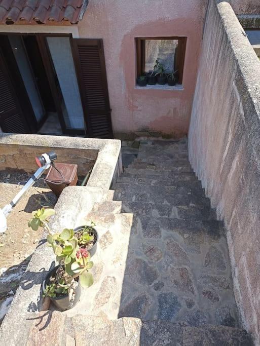 La Dolce Dimora Appartement Olbia Buitenkant foto